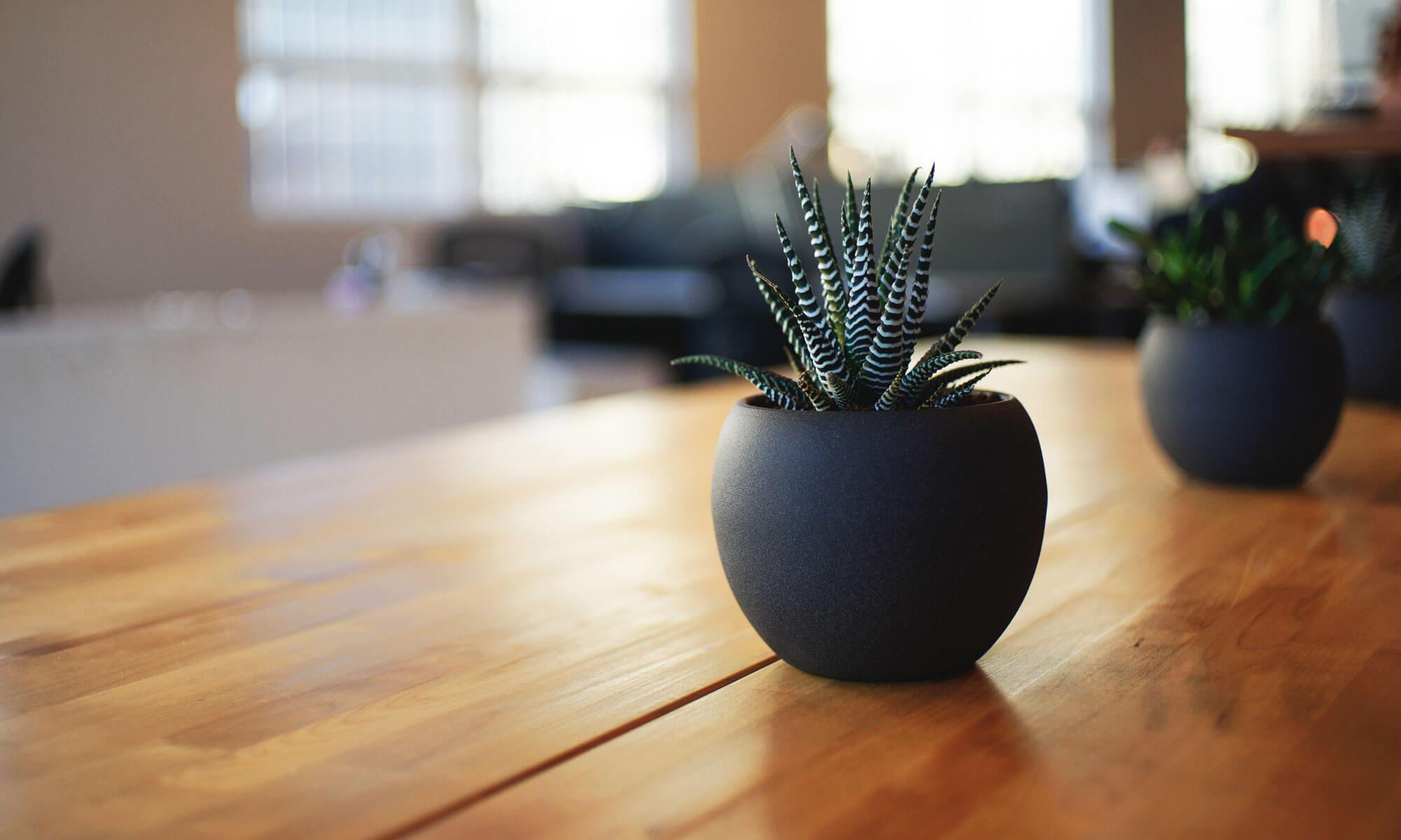 Full Stack Web Development Learnings